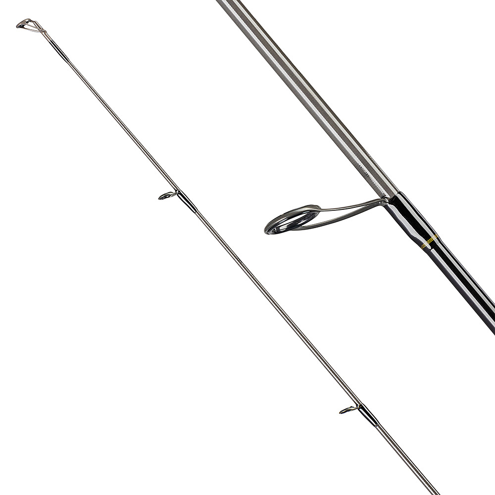 Daiwa Caldia - 4