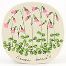 Esteri Tomula (Botanica 1984) Twinflower Wall Plaque 13 cm
