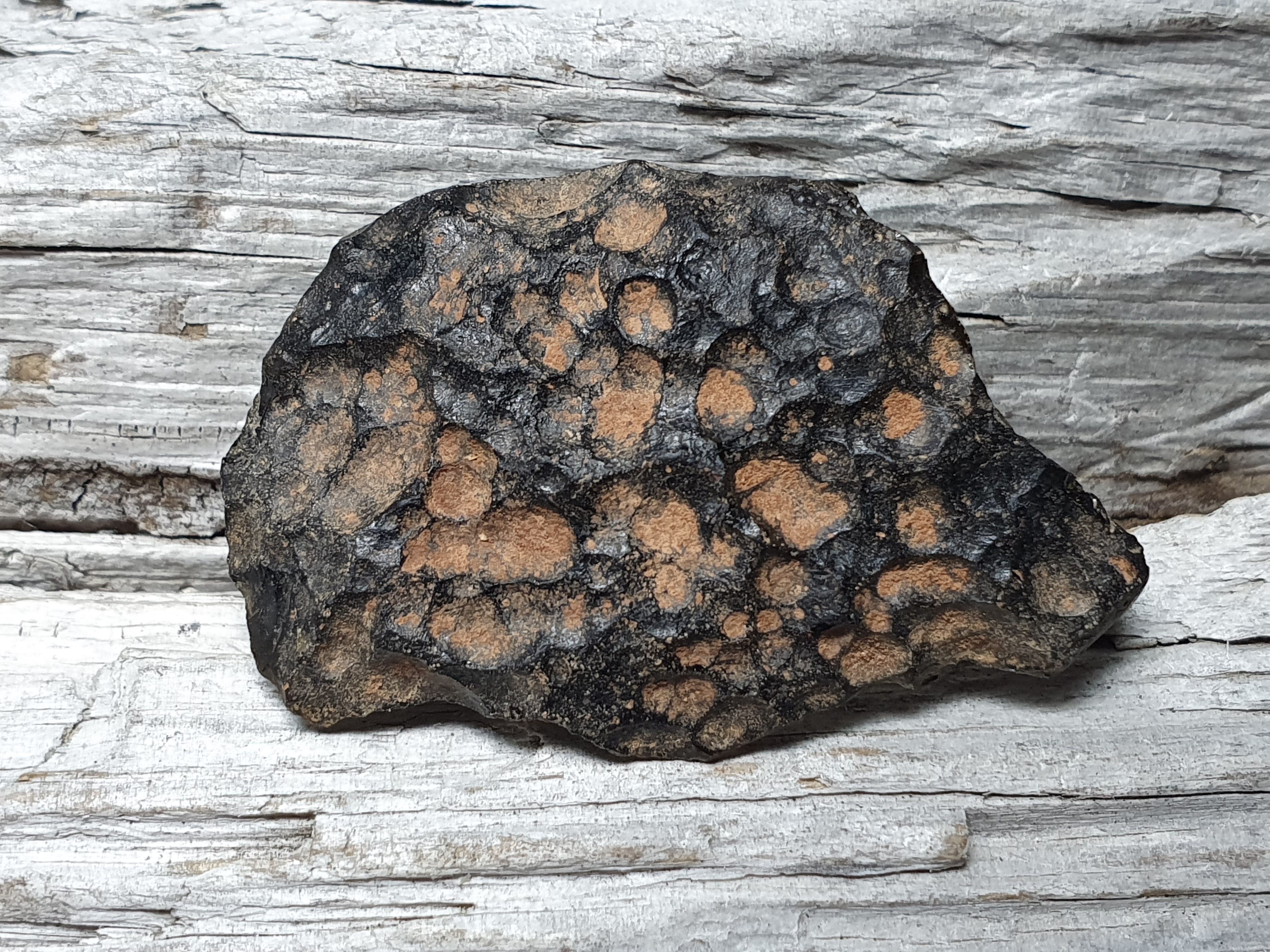 Indochinit, Tektit ( s.k. meteoritglas ) ca. 41 x 27,4mm - 3