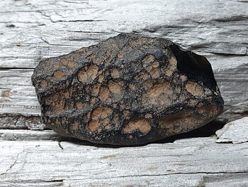 Indochinit, Tektit ( s.k. meteoritglas ) ca. 44x 25,5mm