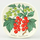 Esteri Tomula (Botanica 1984) Red Currant Wall Plaque 13 cm