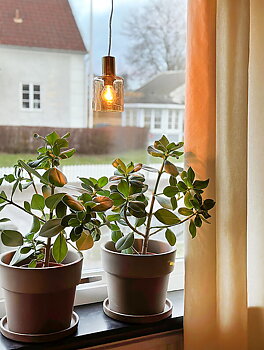 CYLINDER fönsterlampa, matt mässing/amber - Aneta Lighting