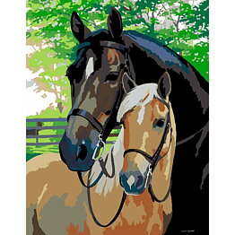 Painting by numbers - Horses