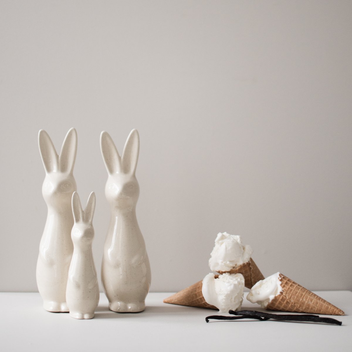 Swedish rabbit Vanilla  - Stor - 2