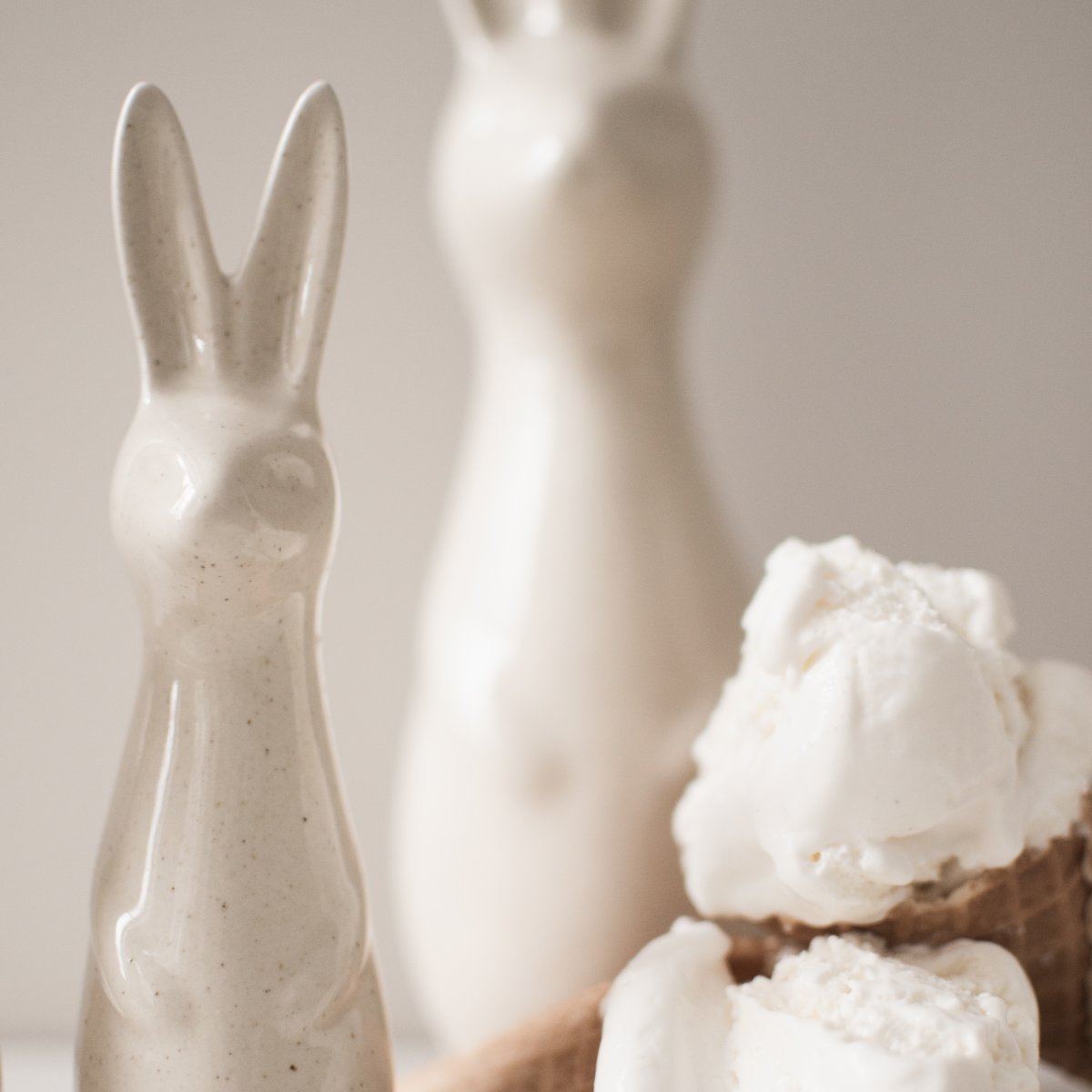 Swedish rabbit Vanilla  - Liten - 9