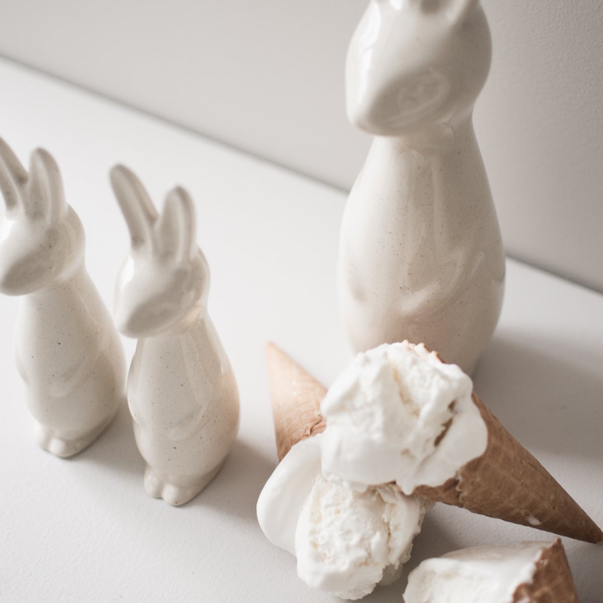 Swedish rabbit Vanilla  - Liten - 8