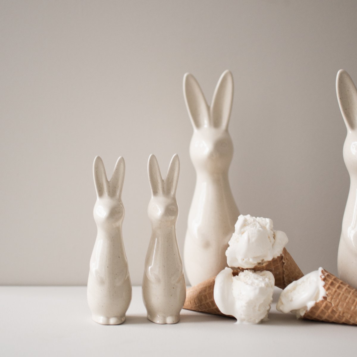 Swedish rabbit Vanilla  - Liten - 5