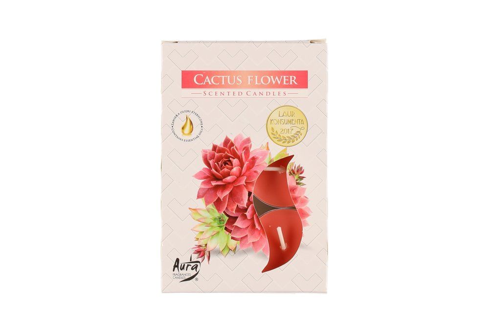 Värmeljus 6-pack Cactus Flower