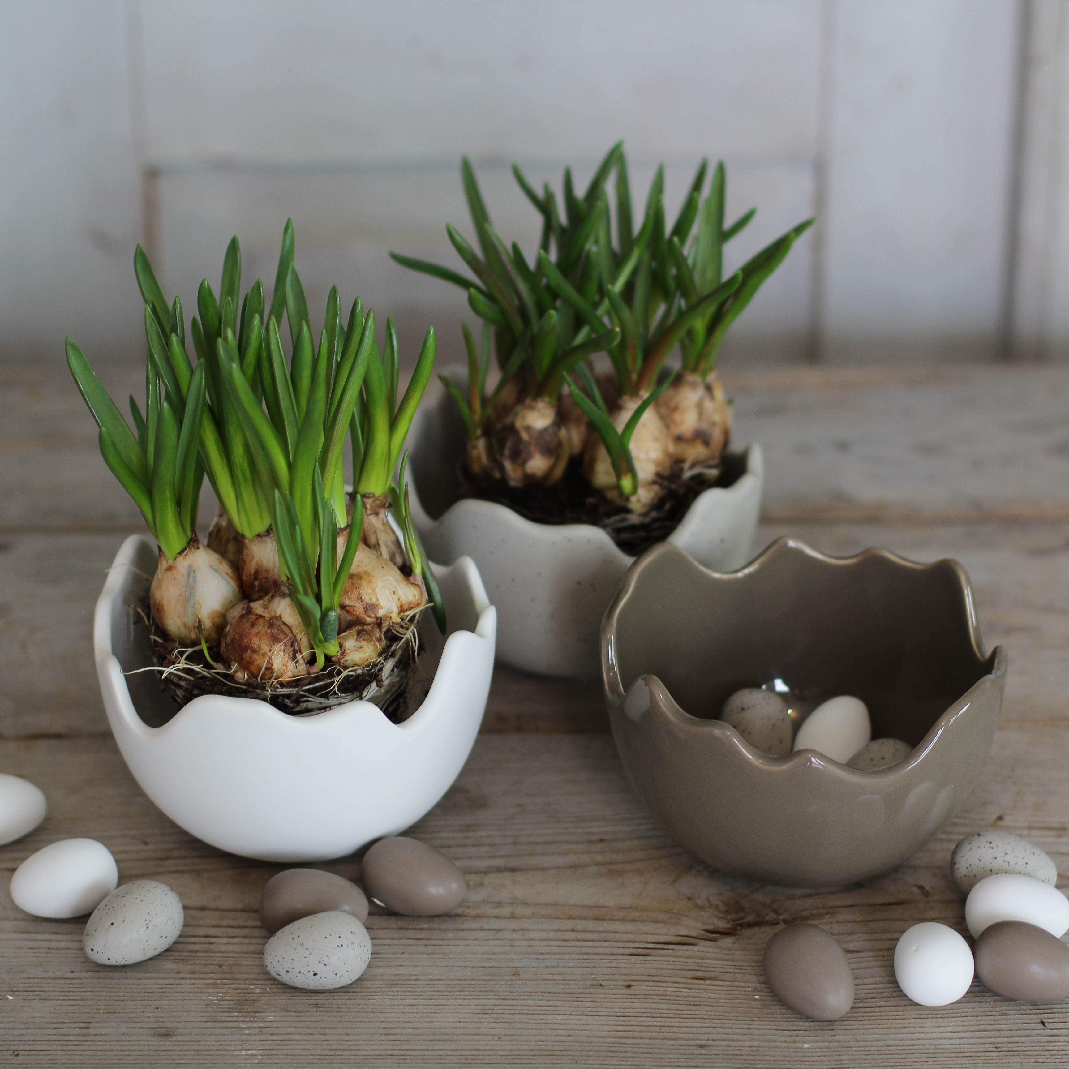 Happy Easter Skål/Kruka Shiny Dust - Liten