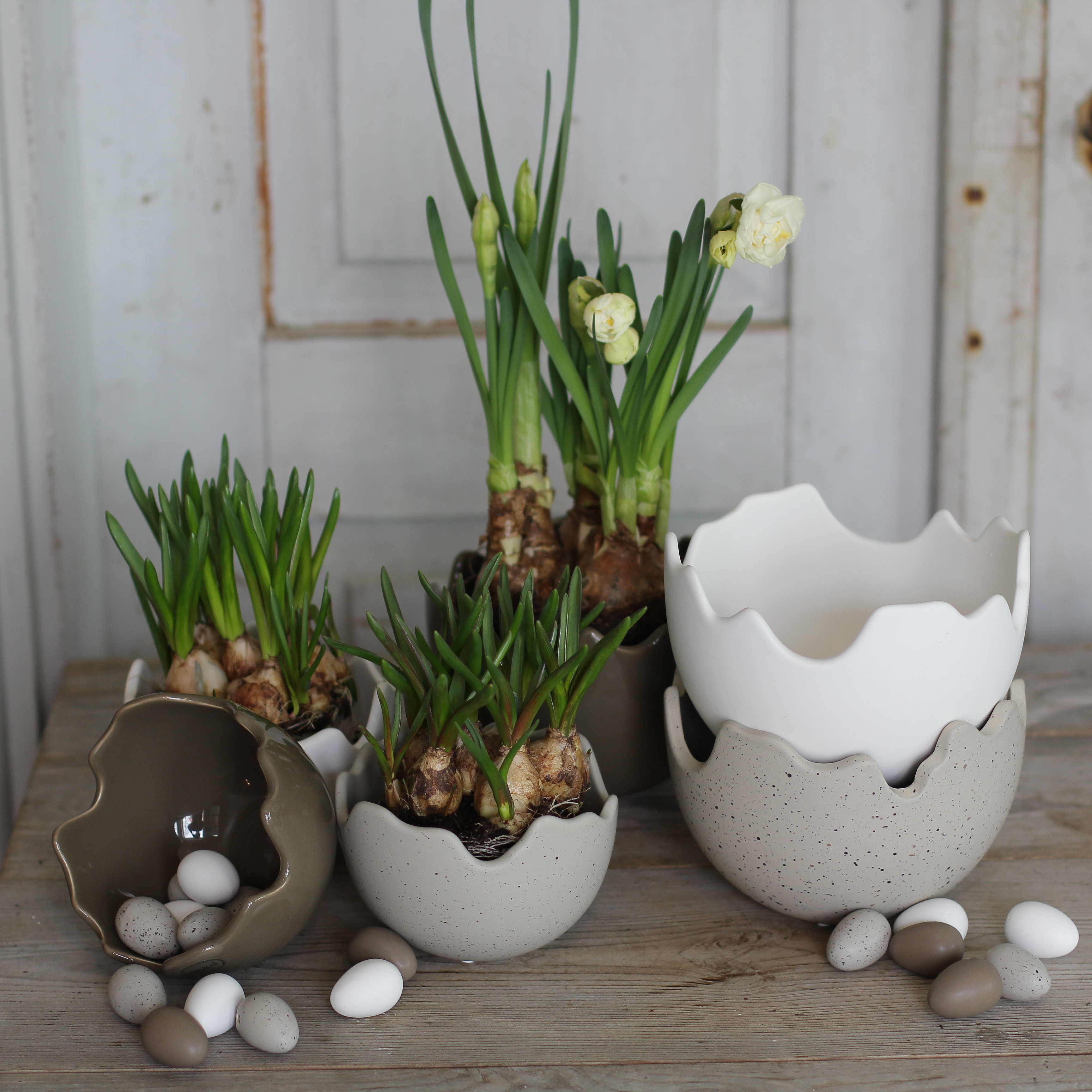 Happy Easter Skål/Kruka Shiny Dust - Liten - 3