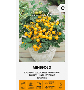 Dvärgtomat Minigold