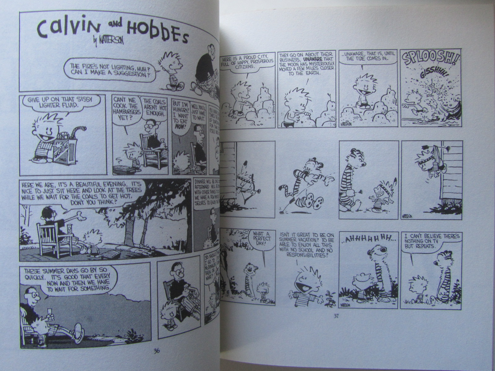 Calvin and Hobbes Yukon Ho - 3