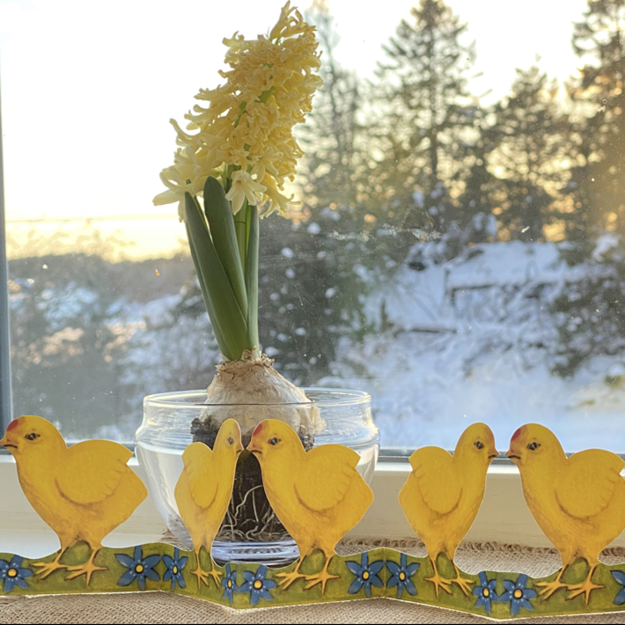Pappersrader : Kycklingar och blå blommor - 2