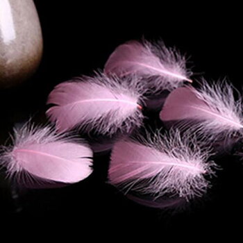 Feather,  Goose, pink
