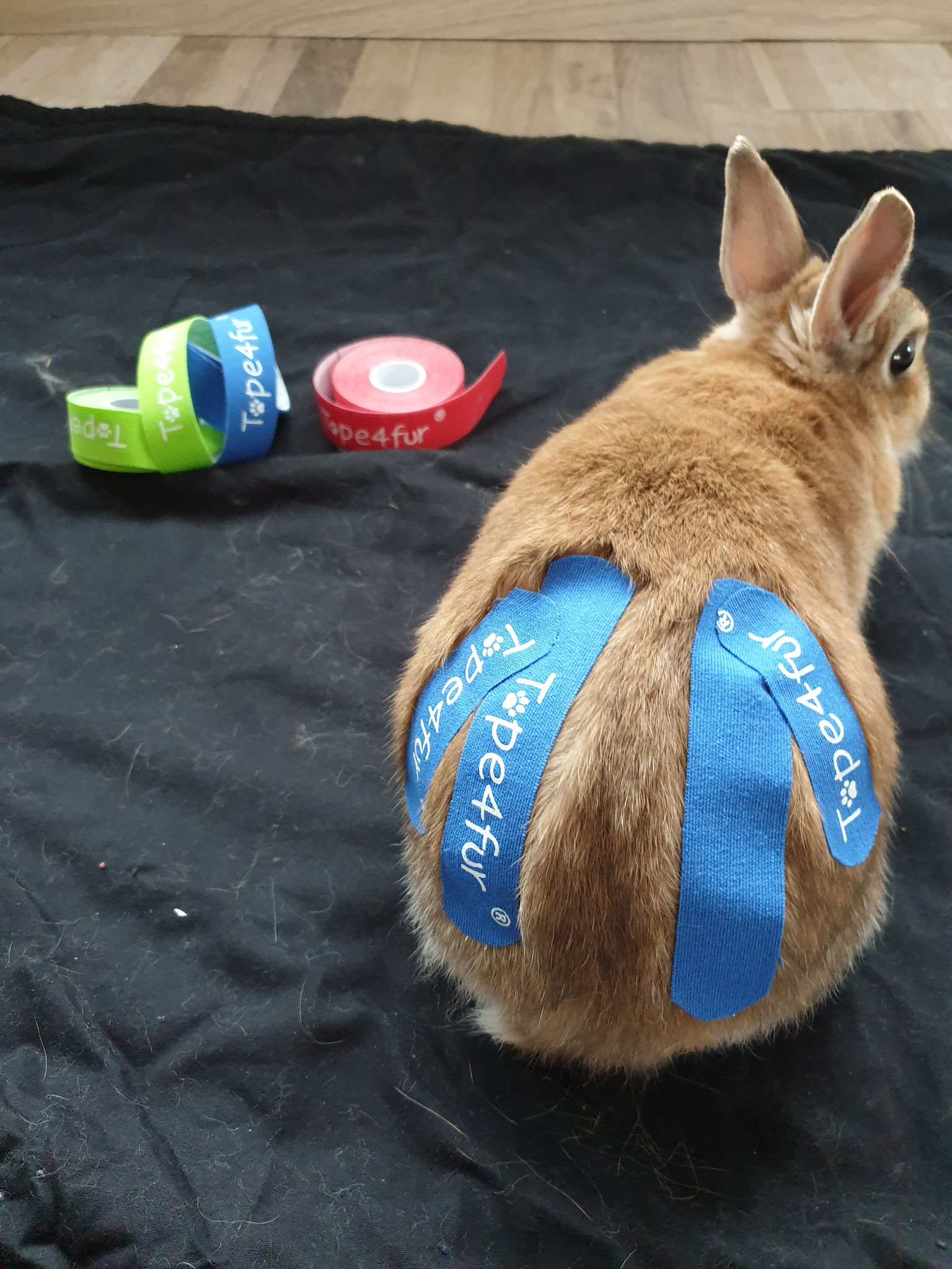 Tape4Fur Kinesiology Tape S - 8
