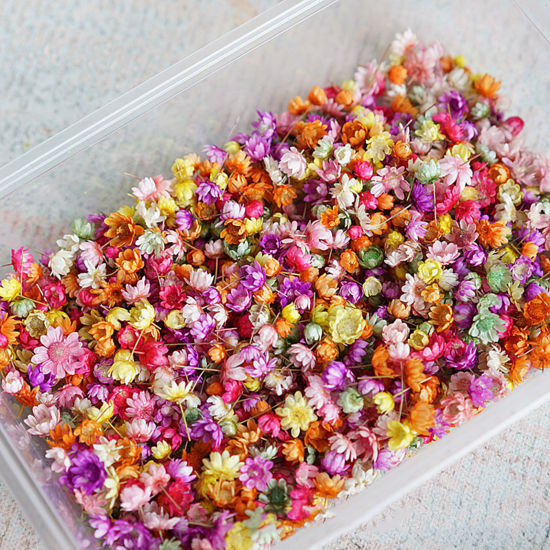 Dekoration till Resin -  Torkade blommor, mix