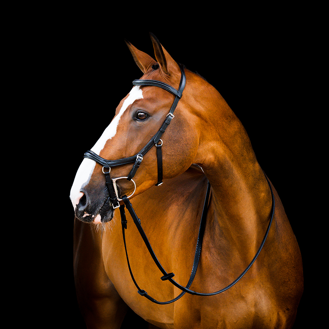 Horseware Micklem 2 Deluxe Competition Träns – Svart (Large Horse)
