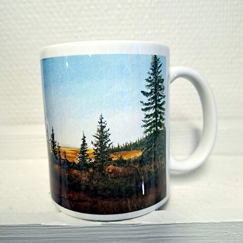 Mugg Björn på myren, Jokkmokk konst och design MDS/TS