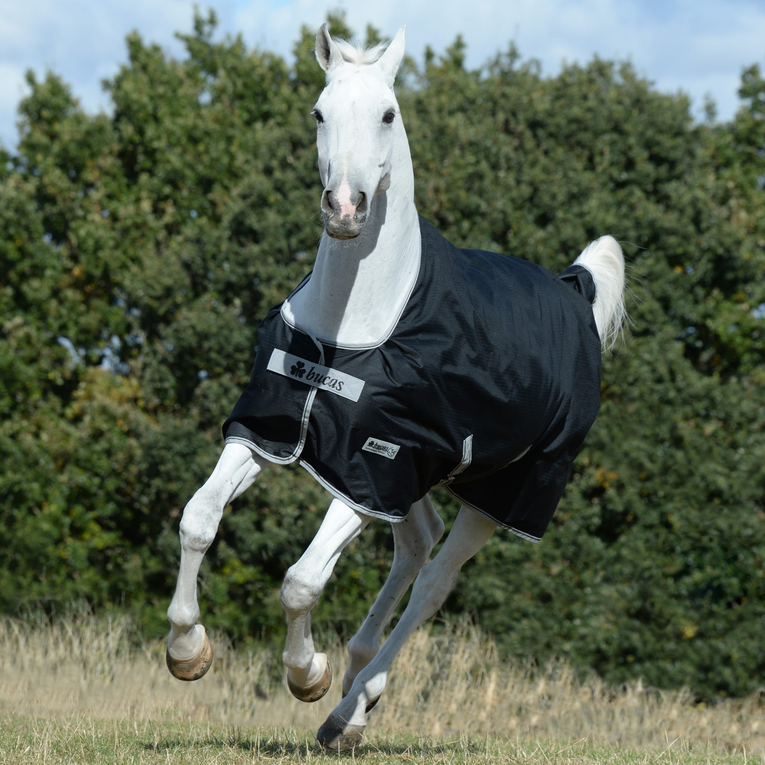 Bucas Anniversary Turnout Outdoor Blanket 0 g - Black/Silver