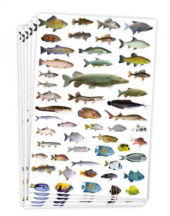 Stickers fiskar 300 st