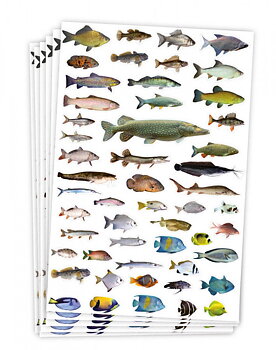 Stickers fiskar 300 st