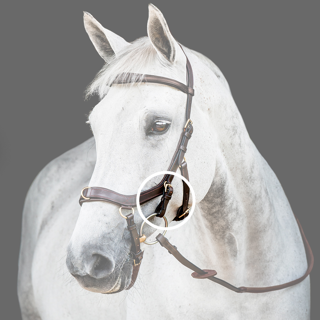 Horseware Micklem Multi Extra Strap - Ruskea/Kulta - 2