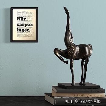 Tavla med texten Här carpas inget.