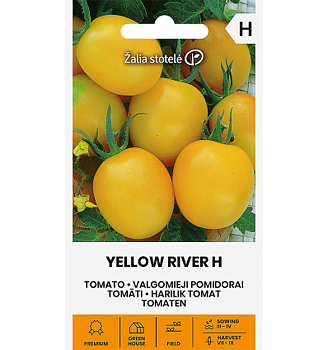 Dvärghybrid Yellow River H