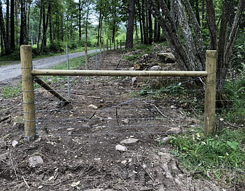 Parallellogram Large