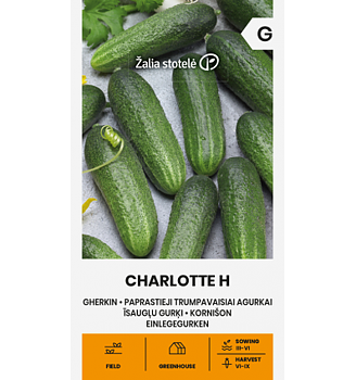 Gurka Charlotte H