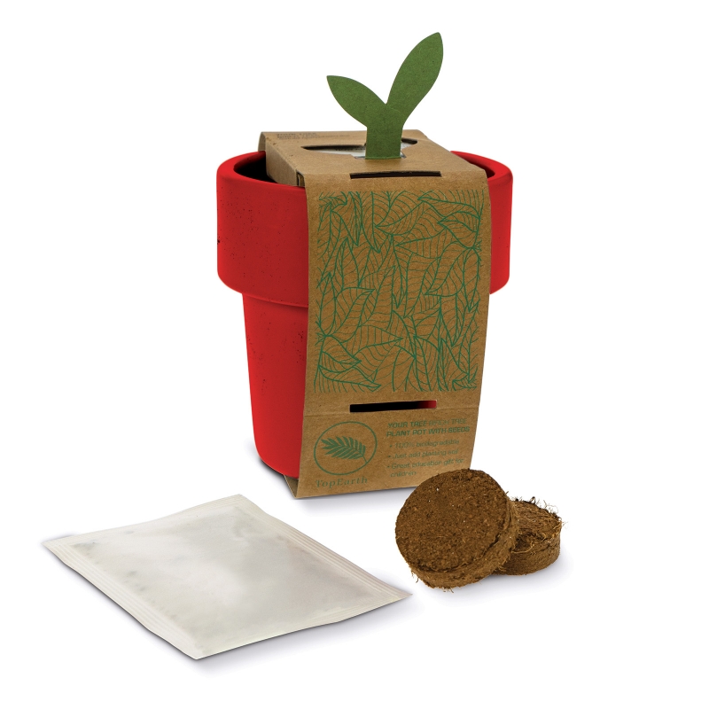 Cup with seeds - 2