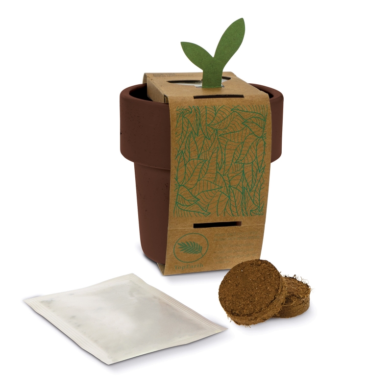 Cup with seeds