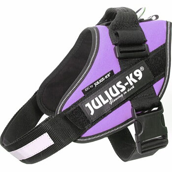Julius-K9 IDC® Harness  - Purple