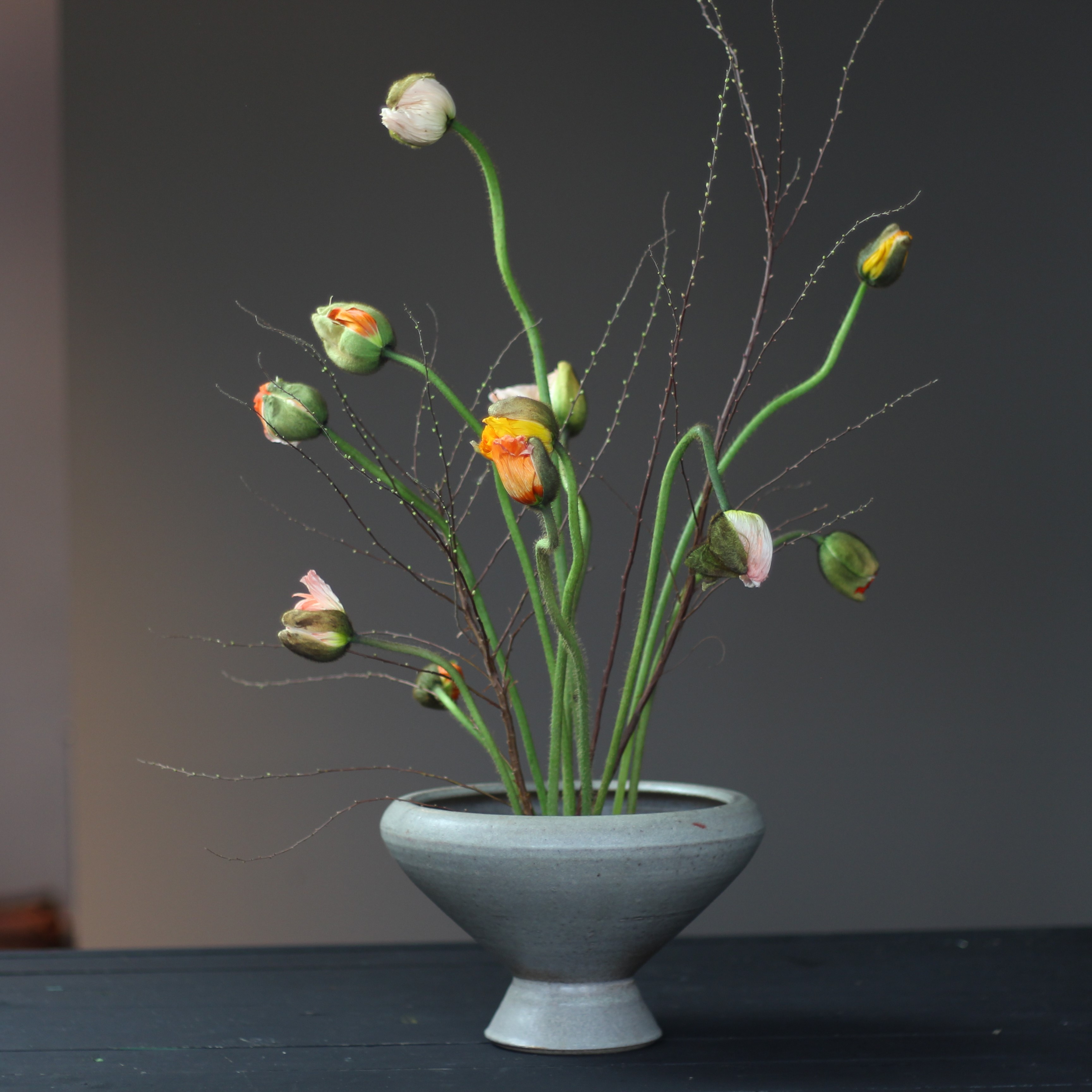 Blomsterfakir Stor - 5