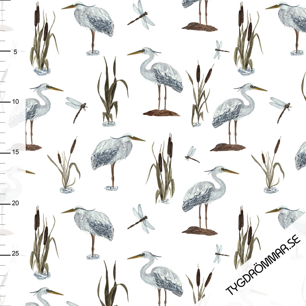 SEA BIRDS