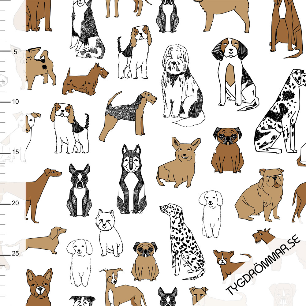 DOGS
