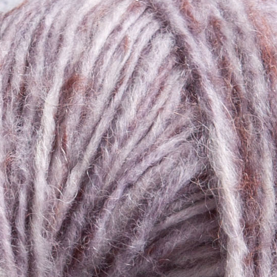 Select no.5 Red Cabbage 22207 - 2