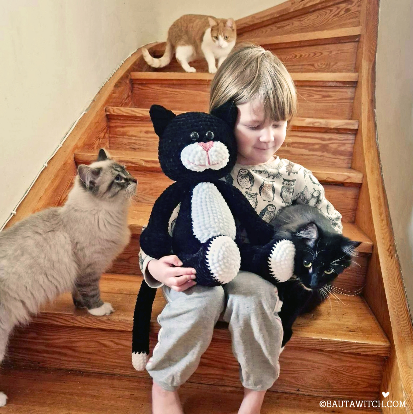 Katten Hjärtnos - 3