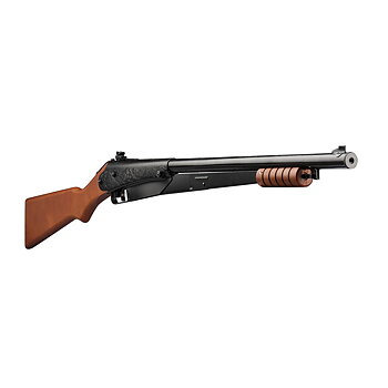 Daisy Model 25