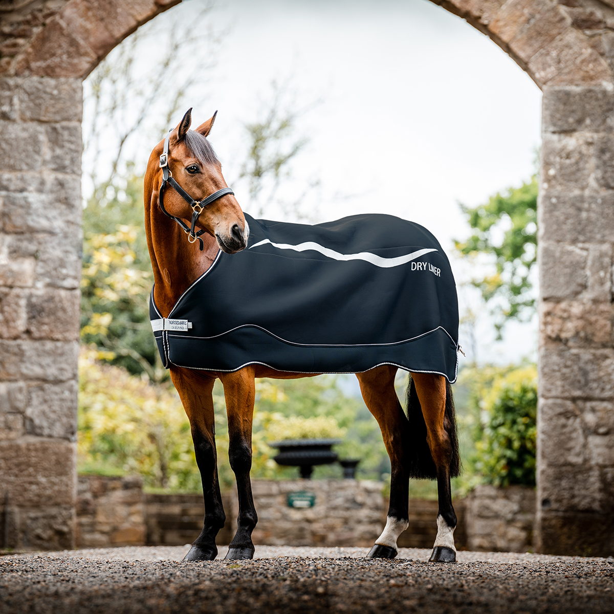 HORSEWARE DRY LINER - 3