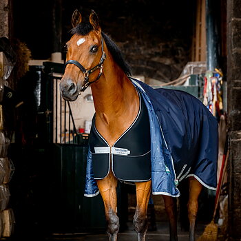 HORSEWARE DRY LINER