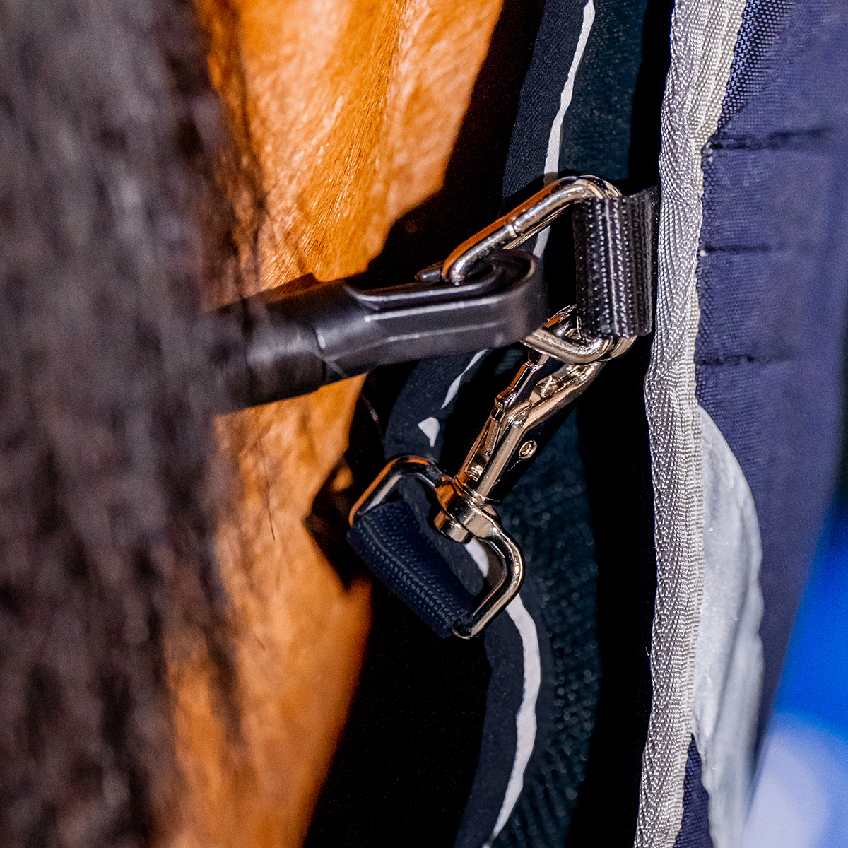 HORSEWARE DRY LINER - 13
