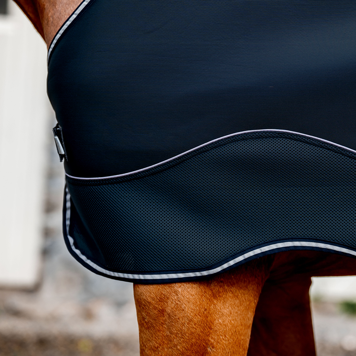 HORSEWARE DRY LINER - 8