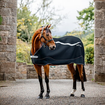 HORSEWARE DRY LINER
