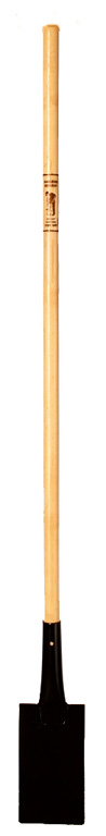 ISHACKA 803