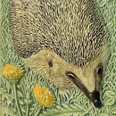 Staffan Johnson (Province Animals 1980s) White Wall Plaque with Hedgehog Motif 20 cm