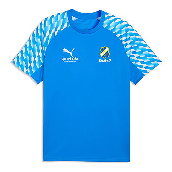 Puma TeamLiga 26 Jersey Jr (Nosaby IF)