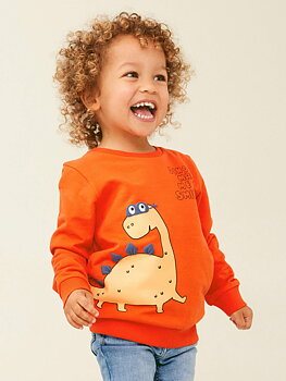Name it Sweat Tröja Dino Storlek 110