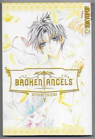 Broken Angels Volume 5 NM