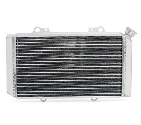 Kylare Yamaha Grizzly 660 2002-2008 (5KM-12461-00-00) - 2